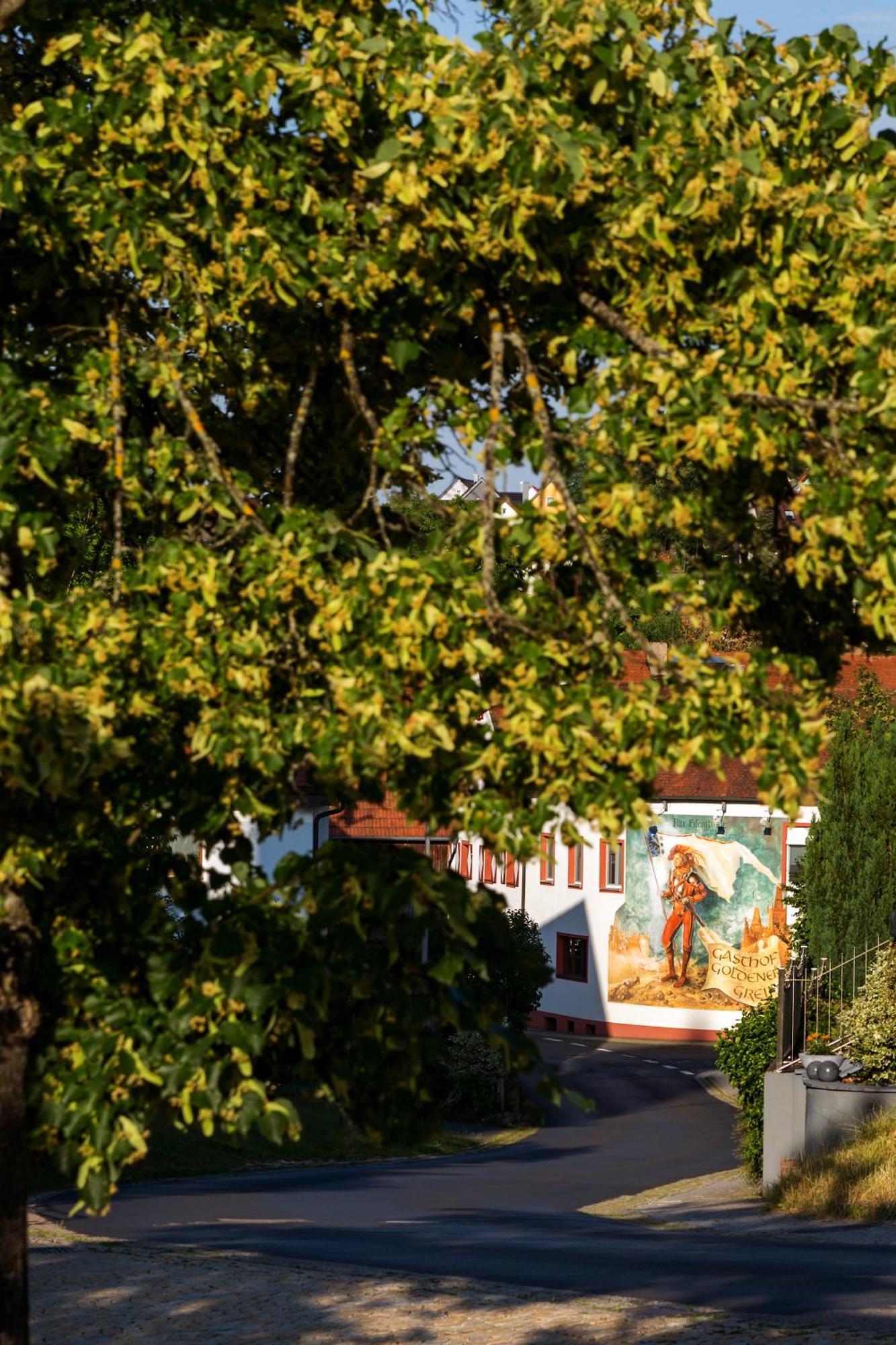 Wirtshaus & Hotel Goldener Greif Edelsfeld Eksteriør bilde